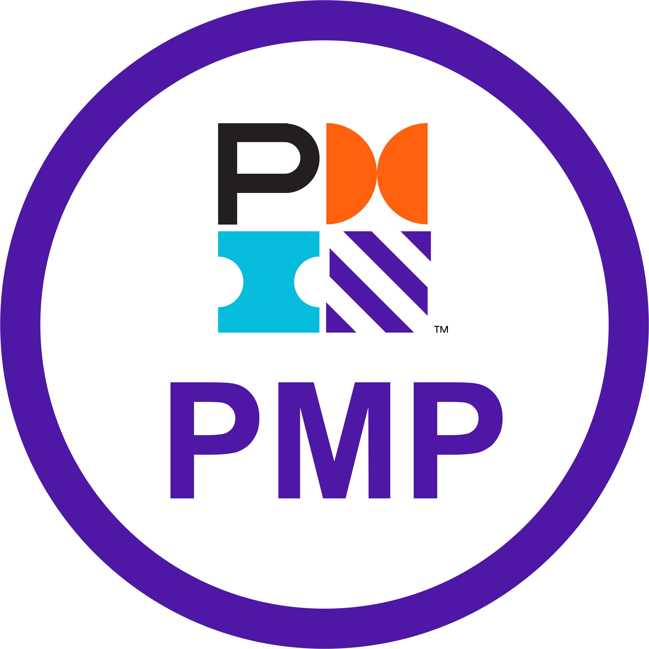 Project Management Professional (PMP)
